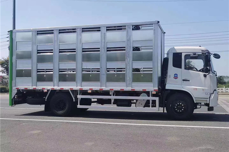 天锦6.8米拉猪车